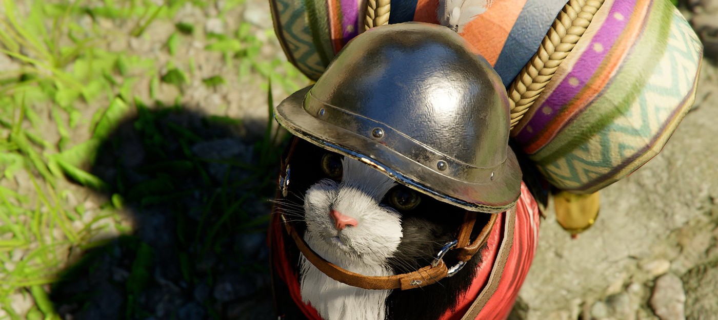 Cat in a diving helmet becomes the main star of the Crimson Desert expansion