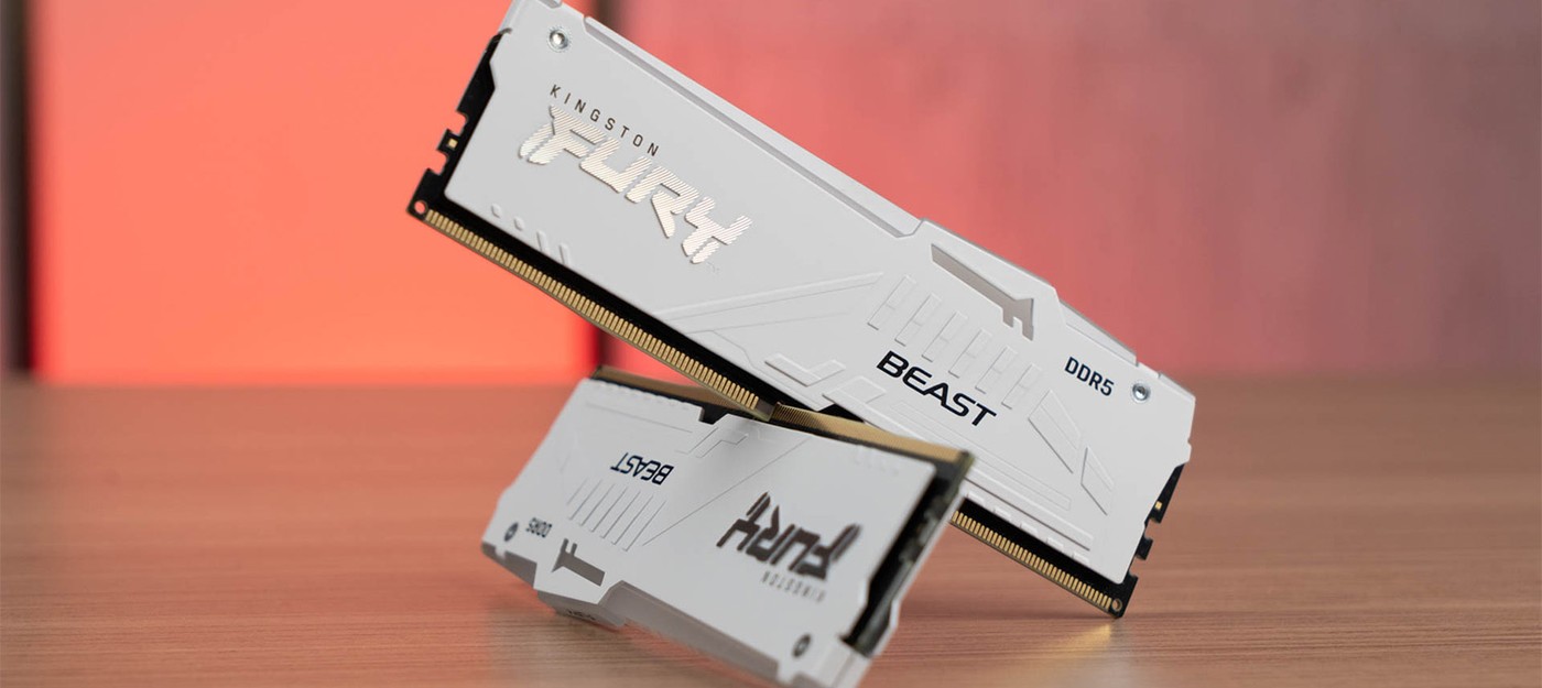 18-year-old guy bought 20 DDR5 modules for $1600 to resell in 15 years