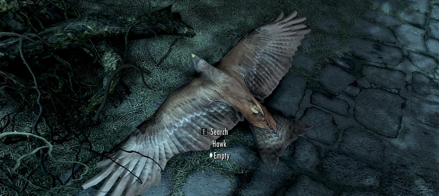 Skyrim player accidentally drives hawks to extinction and can't bring them back