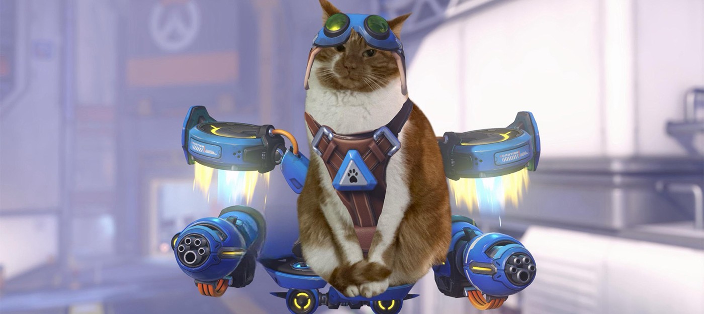 Overwatch fans are dressing up their cats as Jetpack Cat and flooding the internet with adorable edits