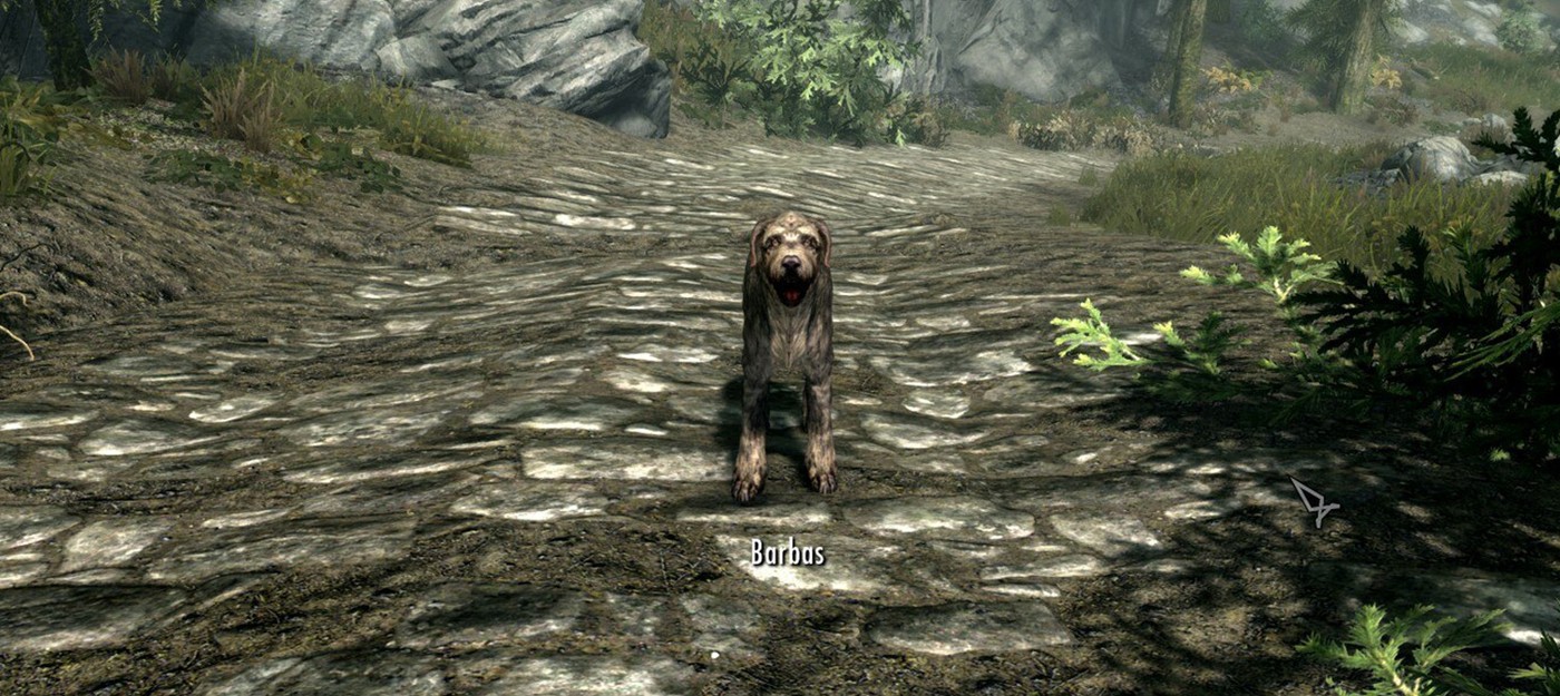 It took a Skyrim newcomer 15 hours and a talking dog Barbas to understand why people love the game