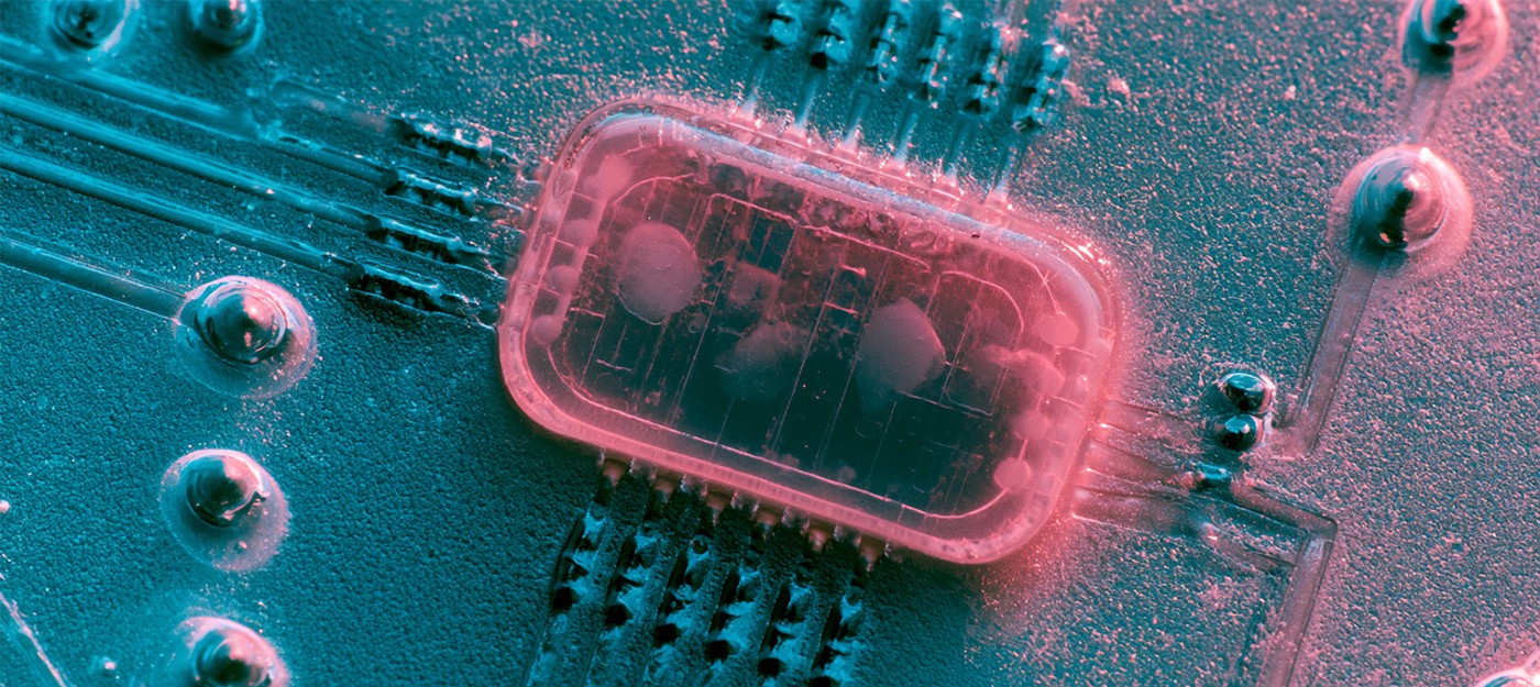 MIT engineers assembled living transistors from bacteria that perform one calculation every 8 hours