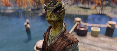 Skyrim player realized he was an idiot when he enchanted a helmet with water breathing while playing as an Argonian