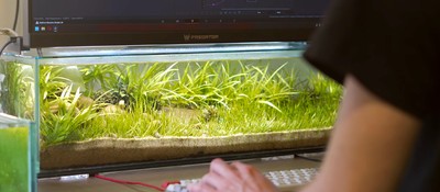 YouTuber turned the space under his monitors into a living desktop aquarium