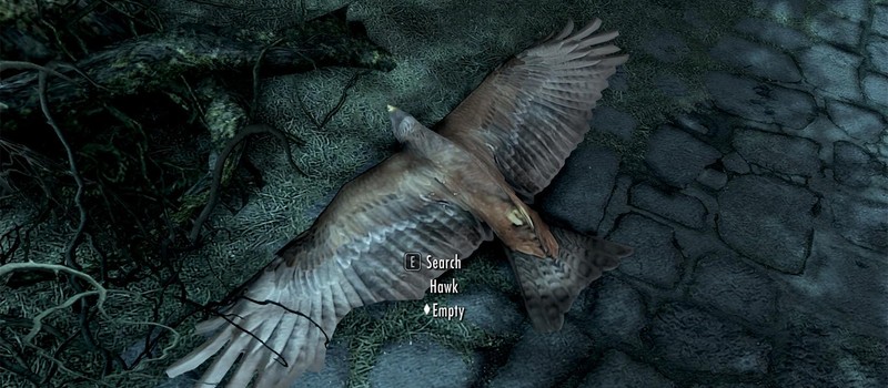 Skyrim player accidentally drives hawks to extinction and can't bring them back