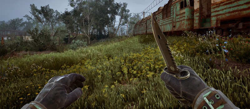 Multiplayer in STALKER 2 is not cancelled – developers confirmed work on a free update