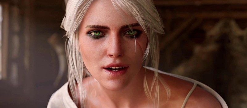 New Witcher 3 DLC may be set near Velen rather than Zerrikania, rumor suggests