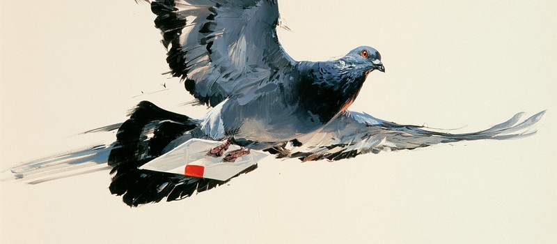 Carrier Pidge messenger delivers messages at a speed of 177 km/h, but with a 0.2% chance the pigeon will die en route