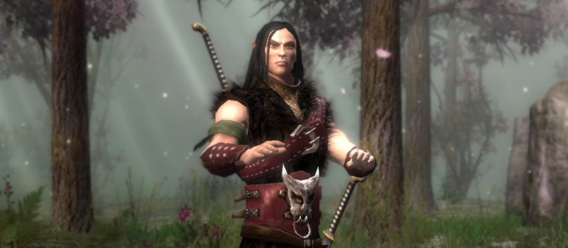 A Witcher dev accidentally "killed" an important character, and a tester had to replay the game to save him