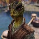 Skyrim player realized he was an idiot when he enchanted a helmet with water breathing while playing as an Argonian