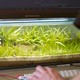 YouTuber turned the space under his monitors into a living desktop aquarium