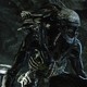 A Multitude of Xenomorph Types, From Armored to Praetorian, Featured in New Aliens: Fireteam Elite 2 Trailer