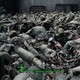 Crazy experimenter in Fallout 4 left Paladin Danse alone with endless synths overnight – and got a pile of corpses and tens of thousands of rounds of ammunition