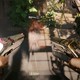 All changes in Cyberpunk 2077 patch 2.5 – dual-wielding, 12 new Tarot cards and DLSS 4.5